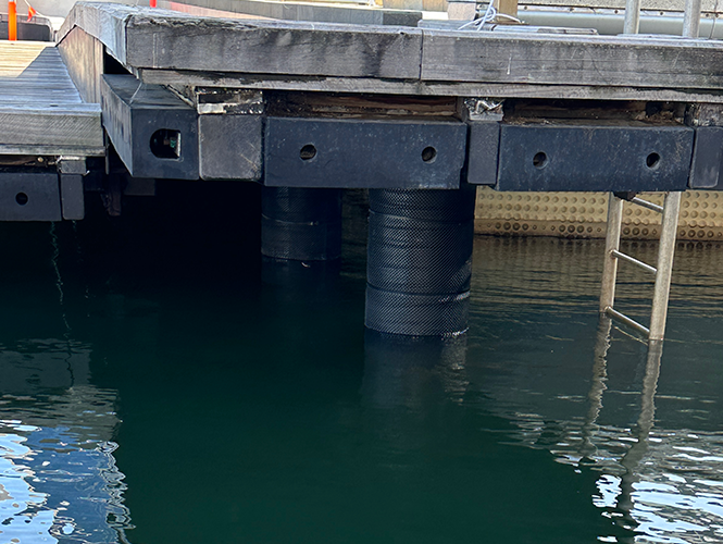 SeaShield 80 system protecting marine piles at Elizabeth Quay